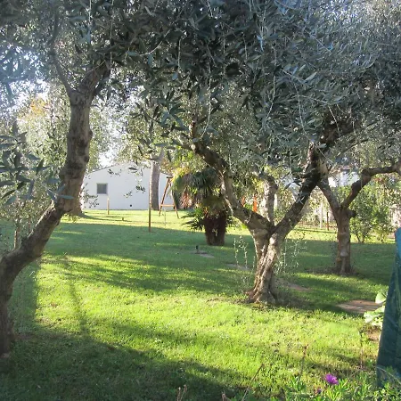 Bed & Breakfast San Russorio *